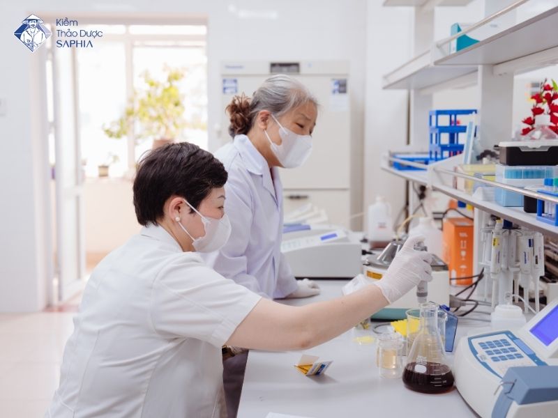 Kiem Thao Duoc Saphia Va Khat Vong Dua Thao Duoc Viet Vuon Tam Quoc Te 1