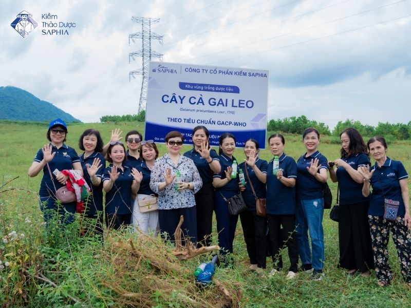 Kiem Thao Duoc Saphia Xay Dung San Pham Dua Tren Tieu Chi Nao 2