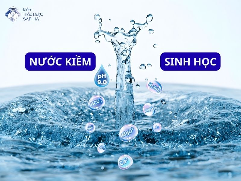 Nuoc Kiem Sinh Hoc 1