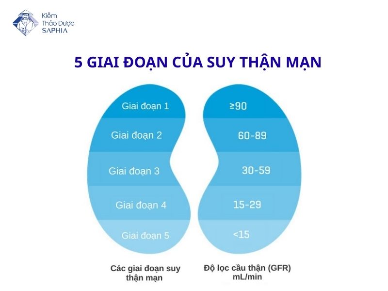 Suy Than Uong Nuoc Kiem Duoc Khong 2