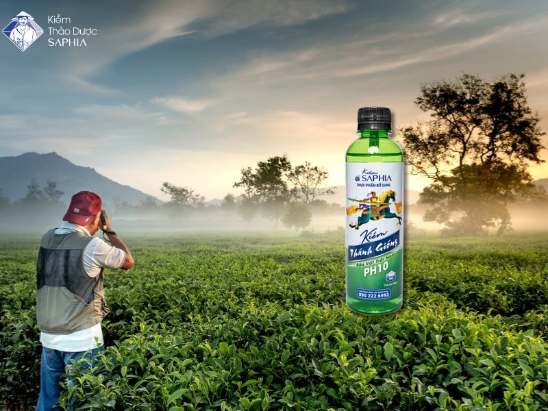 Van Dong Ra Nhieu Mo Hoi Uong Gi 3